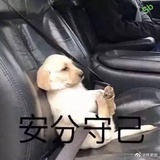 盗号者必die