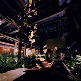 杰斯