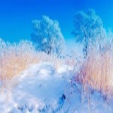 雨雪霏霏