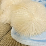 snowway