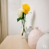 许你、旧时光。