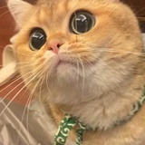 麻花酱
