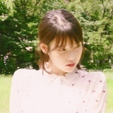 甜苣菜菜子