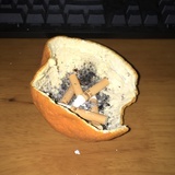 七十三