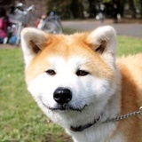灵芙醉客