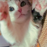 ！！！