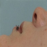 大腿