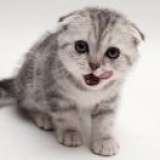 hhhhhh