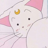 小透明no起伏