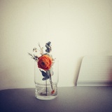 不安徒生（徒橙）