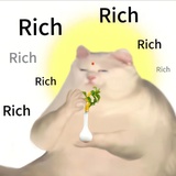 沈柏苓