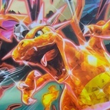 人畜无害的贝塔