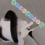 魔王大人的忧桑