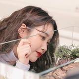 矫情的阴郁花束