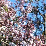 比天空更远的季节