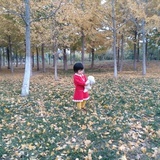 顾小沙