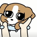momo大王