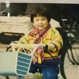 Hj 1313