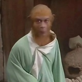 斯珈霖