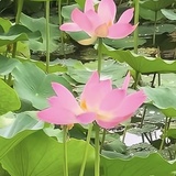 雨中漫步