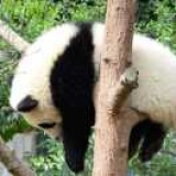 许名钰
