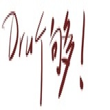 Druggo