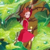 诗琴弹奏者