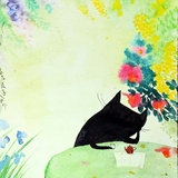 曼殊君