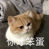 胖大海