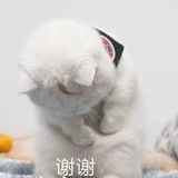 余四元