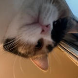 bbbbzhang