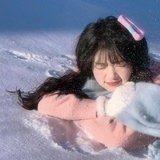 雪玫瑰