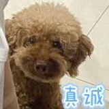 豆友6youBiV8p4