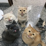 豆友232732309