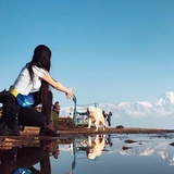 无尽夏日小天菜