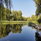 汪洋中的一条船