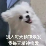 本尼斯湖水怪