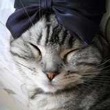 妈妈咪呀黑麻麻