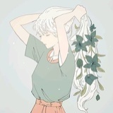 猫草片
