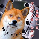大江东去