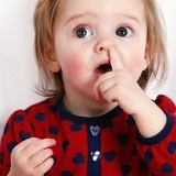 lanlany