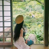 野田黄雀灰灰灰