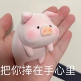 隋尔