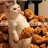 我养的恐龙呢