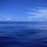 庆葡王海龙