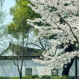 陶岫然