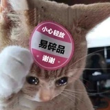 昼