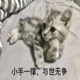 陈默默