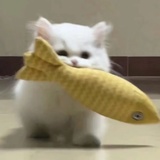 椰子水