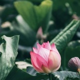 银阙